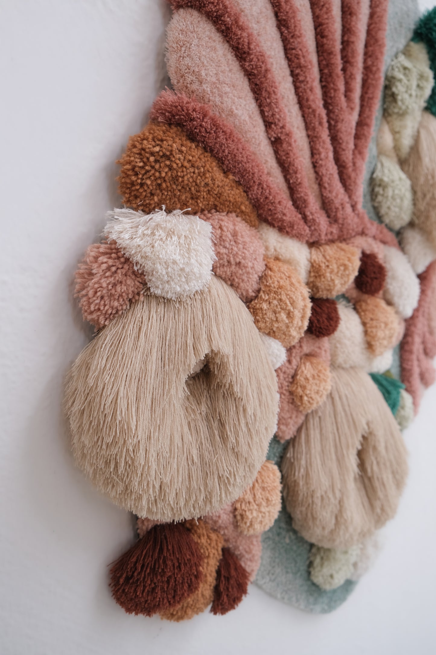 LIMITED EDITION 20/20 - SEALAND